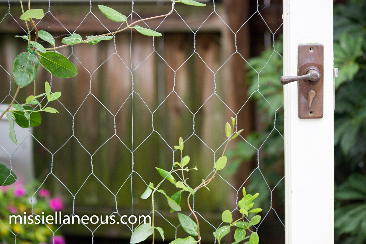 Old Screen Door Garden Trellis